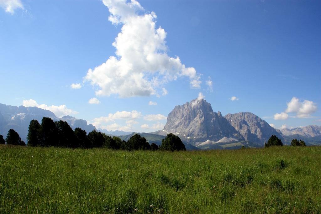 Hotel La Pineta Selva di Val Gardena Kültér fotó