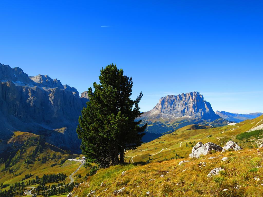 Hotel La Pineta Selva di Val Gardena Kültér fotó